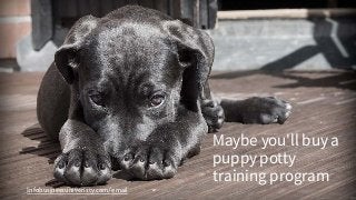 Infobusinessuniveristy.com/email
Maybe you'll buy a
puppy potty
training program
 