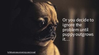Infobusinessuniveristy.com/email
Or you decide to
ignore the
problem until
puppy outgrows
it…
 