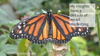Infobusinessuniveristy.com/email
My insights
from a
decade of
email
marketing:
 