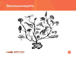 16
Эволюционируйте
 