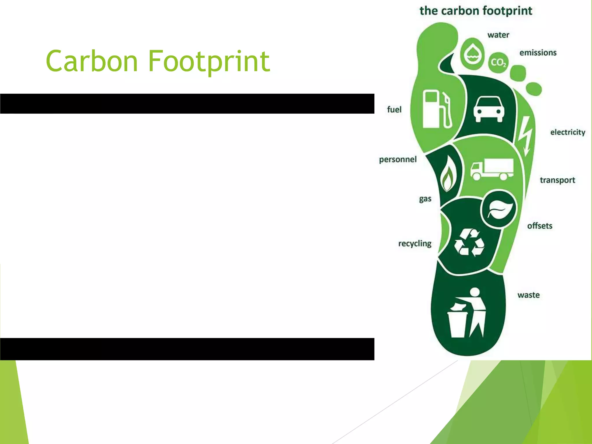 Carbon Footprint
 