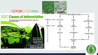 DEFORESTATION:- 
 