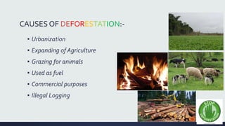 CAUSES OF DEFORESTATION:- 
▪ Urbanization 
▪ Expanding of Agriculture 
▪ Grazing for animals 
▪ Used as fuel 
▪ Commercial purposes 
▪ Illegal Logging 
 