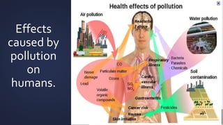 Effects 
caused by 
pollution 
on 
humans. 
 