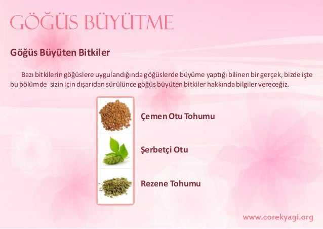 Gogus Buyuten Yiyecekler Meme Buyutucu Bitkiler Nelerdir