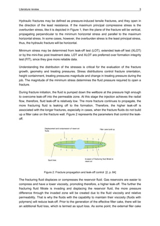 GOHFER® Software Evaluation Hydraulic Fracturing | PDF
