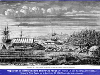 Préparation de la morue dans la baie de Cap Rouge. In : Journal Le Tour du Monde, année 1863.
Voyage à Terre-Neuve par le ...