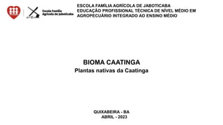 BIOMA CAATINGA
Plantas nativas da Caatinga
QUIXABEIRA - BA
ABRIL - 2023
ESCOLA FAMÍLIA AGRÍCOLA DE JABOTICABA
EDUCAÇÃO PROFISSIONAL TÉCNICA DE NÍVEL MÉDIO EM
AGROPECUÁRIO INTEGRADO AO ENSINO MÉDIO
 