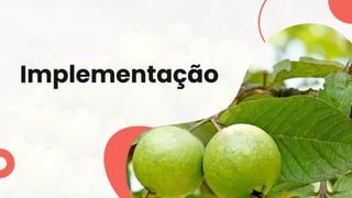Implementação
 
