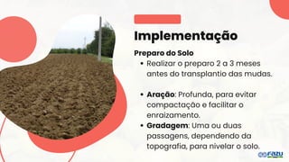 Implementação
Preparo do Solo
Realizar o preparo 2 a 3 meses
antes do transplantio das mudas.
Aração: Profunda, para evitar
compactação e facilitar o
enraizamento.
Gradagem: Uma ou duas
passagens, dependendo da
topografia, para nivelar o solo.
 