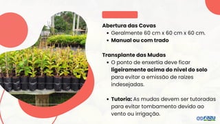 Abertura das Covas
Geralmente 60 cm x 60 cm x 60 cm.
Manual ou com trado
Transplante das Mudas
O ponto de enxertia deve ficar
ligeiramente acima do nível do solo
para evitar a emissão de raízes
indesejadas.
Tutoria: As mudas devem ser tutoradas
para evitar tombamento devido ao
vento ou irrigação.
 