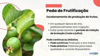 Poda de Frutificação
Escalonamento da produção de frutos.
Em qualquer época do ano,
preferencialmente com irrigação.
Evitar poda durante o período de inibição
de brotação (maio a julho).
Poda contínua ou drástica.
Poda contínua: Produção o ano inteiro.
Poda drástica: Preferível para maior
qualidade e controle fitossanitário.
 