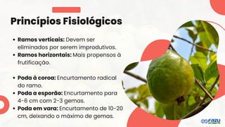 Princípios Fisiológicos
Ramos verticais: Devem ser
eliminados por serem improdutivos.
Ramos horizontais: Mais propensos à
frutificação.
Poda à coroa: Encurtamento radical
do ramo.
Poda a esporão: Encurtamento para
4-6 cm com 2-3 gemas.
Poda em vara: Encurtamento de 10-20
cm, deixando o máximo de gemas.
 