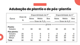 Adubação de plantio e de pós-plantio
 