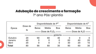 Adubação de crescimento e formação
1º ano Pós-plantio
 