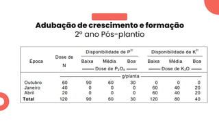 Adubação de crescimento e formação
2º ano Pós-plantio
 