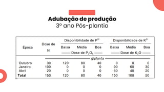 Adubação de produção
3º ano Pós-plantio
 