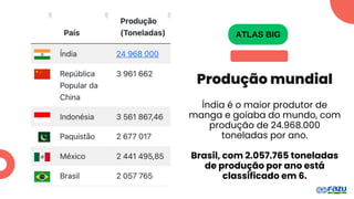 Índia é o maior produtor de
manga e goiaba do mundo, com
produção de 24.968.000
toneladas por ano.
Brasil, com 2.057.765 toneladas
de produção por ano está
classificado em 6.
ATLAS BIG
Produção mundial
 