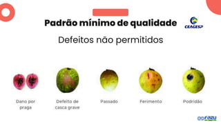 Padrão mínimo de qualidade
Defeitos não permitidos
 