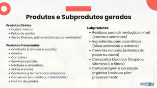 Produtos e Subprodutos gerados
Produtos Diretos
Fruta in natura
Polpa de goiaba
Sucos (frescos, pasteurizados ou concentrados)
Produtos Processados
Goiabada (cremosa e cascão)
Geleias
Compotas
Sorvetes e picolés
Néctares e smoothies
Sidras e licores
Destilados e fermentados artesanais
Conservas (em calda ou cristalizadas)
Farinha de goiaba
Subprodutos
Resíduos para alimentação animal
(cascas e sementes)
Ingredientes para cosméticos
(óleos essenciais e extratos)
Corantes naturais (extraídos da
polpa ou casca)
Compostos bioativos (licopeno,
vitamina C e fibras)
Compostagem e adubação
orgânica (resíduos pós-
processamento
 