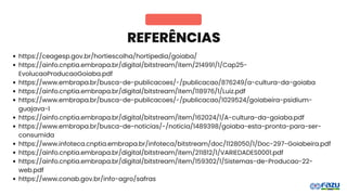 REFERÊNCIAS
https://ceagesp.gov.br/hortiescolha/hortipedia/goiaba/
https://ainfo.cnptia.embrapa.br/digital/bitstream/item/214991/1/Cap25-
EvolucaoProducaoGoiaba.pdf
https://www.embrapa.br/busca-de-publicacoes/-/publicacao/876249/a-cultura-da-goiaba
https://ainfo.cnptia.embrapa.br/digital/bitstream/item/118976/1/Luiz.pdf
https://www.embrapa.br/busca-de-publicacoes/-/publicacao/1029524/goiabeira-psidium-
guajava-l
https://ainfo.cnptia.embrapa.br/digital/bitstream/item/162024/1/A-cultura-da-goiaba.pdf
https://www.embrapa.br/busca-de-noticias/-/noticia/1489398/goiaba-esta-pronta-para-ser-
consumida
https://www.infoteca.cnptia.embrapa.br/infoteca/bitstream/doc/1128050/1/Doc-297-Goiabeira.pdf
https://ainfo.cnptia.embrapa.br/digital/bitstream/item/211812/1/VARIEDADES0001.pdf
https://ainfo.cnptia.embrapa.br/digital/bitstream/item/159302/1/Sistemas-de-Producao-22-
web.pdf
https://www.conab.gov.br/info-agro/safras
 