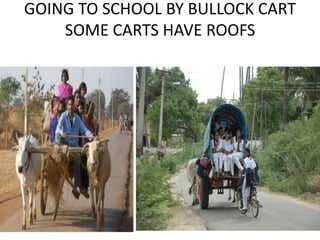 GOING TO SCHOOL BY BULLOCK CART
SOME CARTS HAVE ROOFS
 