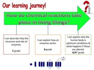 I can explain why the
I can describe fully the
                           I can explain how an        human body is
  structure and role of
                              enzymes works.      optimum conditions &
        enzymes.
                                                  what happens if these
                                 B grade                are altered.
       C grade
                                                        A/A* grade
 