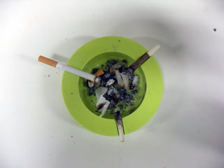 1000 Miles of Ephemera