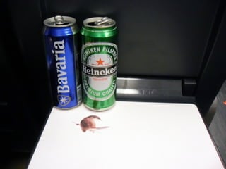 1000 Miles of Ephemera