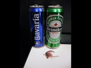 1000 Miles of Ephemera