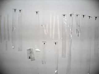 1000 Miles of Ephemera