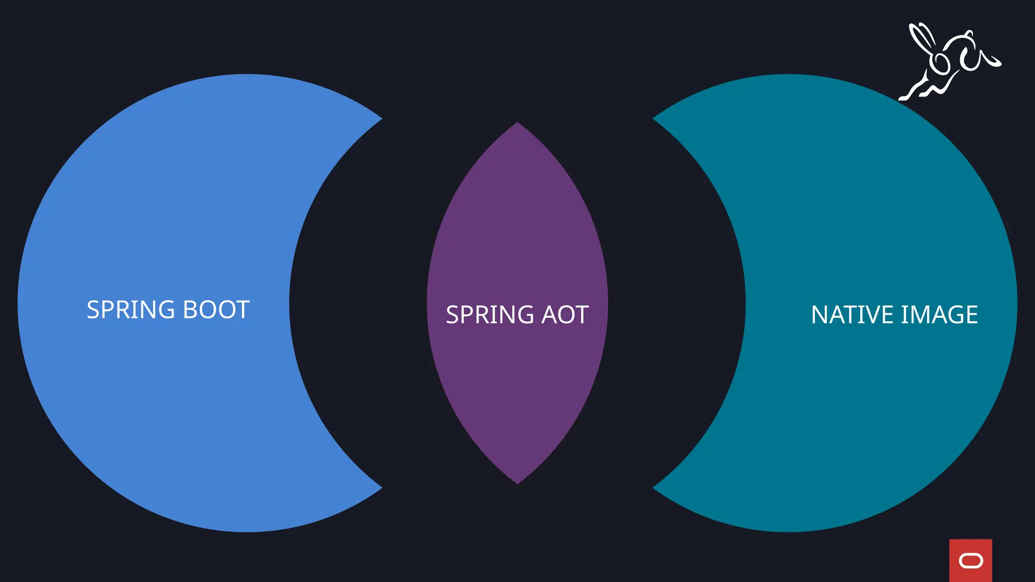 SPRING BOOT NATIVE IMAGE
SPRING AOT
 