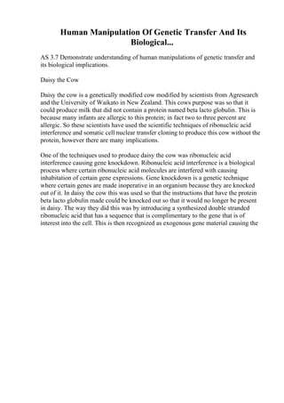Human Manipulation Of Genetic Transfer And Its
Biological...
AS 3.7 Demonstrate understanding of human manipulations of genetic transfer and
its biological implications.
Daisy the Cow
Daisy the cow is a genetically modified cow modified by scientists from Agresearch
and the University of Waikato in New Zealand. This cows purpose was so that it
could produce milk that did not contain a protein named beta lacto globulin. This is
because many infants are allergic to this protein; in fact two to three percent are
allergic. So these scientists have used the scientific techniques of ribonucleic acid
interference and somatic cell nuclear transfer cloning to produce this cow without the
protein, however there are many implications.
One of the techniques used to produce daisy the cow was ribonucleic acid
interference causing gene knockdown. Ribonucleic acid interference is a biological
process where certain ribonucleic acid molecules are interfered with causing
inhabitation of certain gene expressions. Gene knockdown is a genetic technique
where certain genes are made inoperative in an organism because they are knocked
out of it. In daisy the cow this was used so that the instructions that have the protein
beta lacto globulin made could be knocked out so that it would no longer be present
in daisy. The way they did this was by introducing a synthesized double stranded
ribonucleic acid that has a sequence that is complimentary to the gene that is of
interest into the cell. This is then recognized as exogenous gene material causing the
 