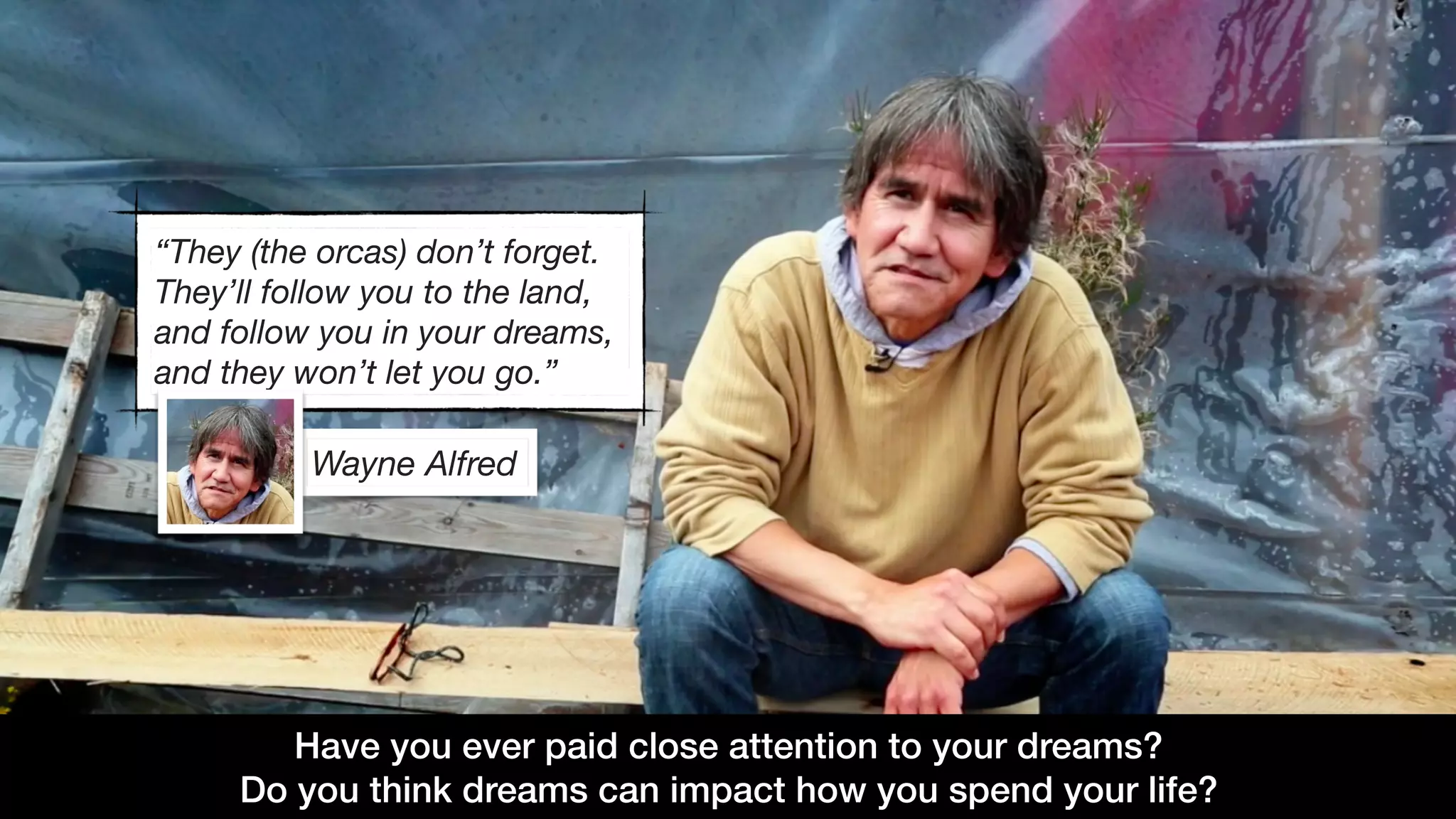Have you ever paid close attention to your dreams?  
Do you think dreams can impact how you spend your life?
“They (the orcas) don’t forget. 
They’ll follow you to the land,  
and follow you in your dreams,  
and they won’t let you go.”
Wayne Alfred
 