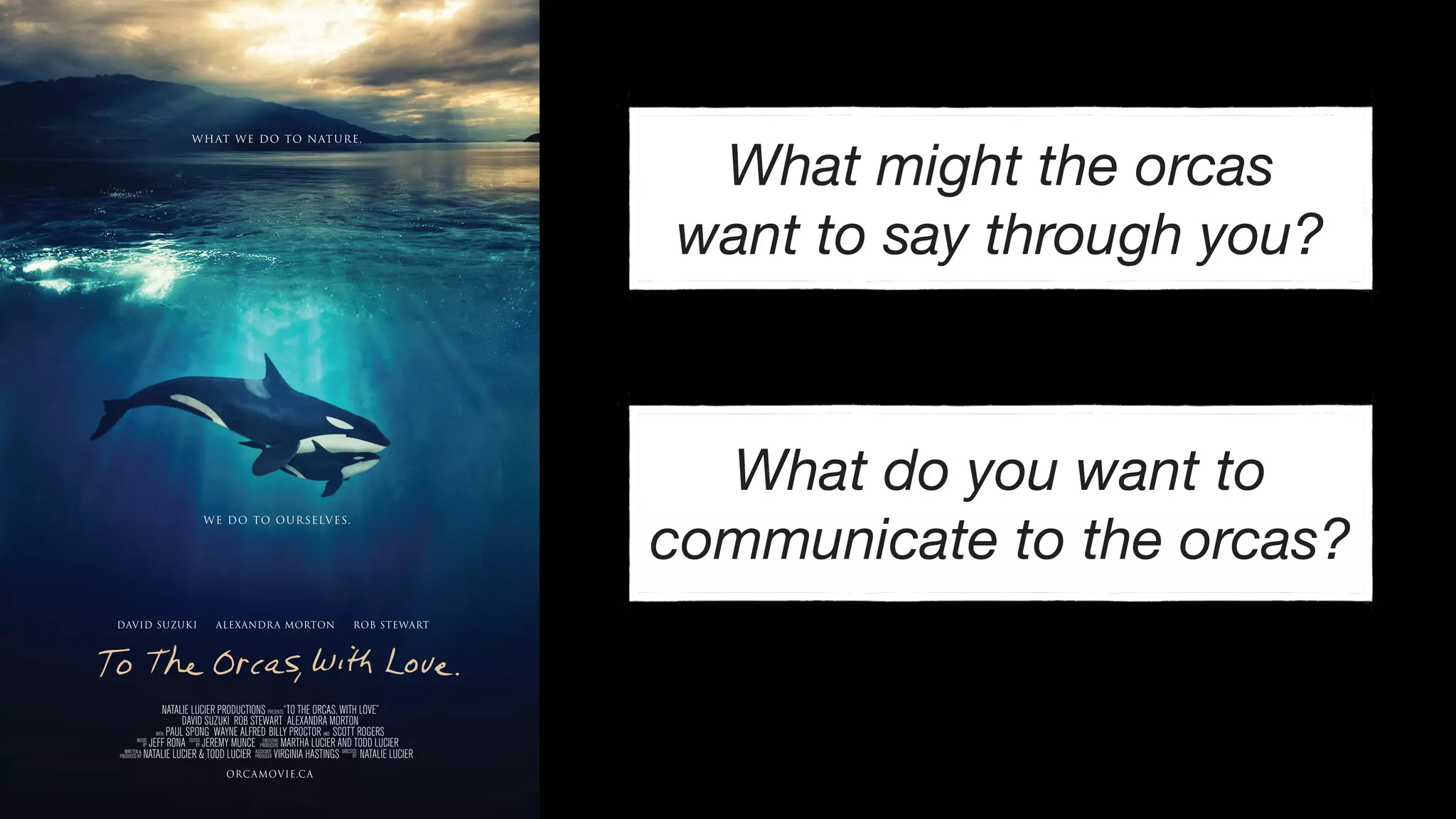ORCAMOVIE.CA
DAVID SUZUKI ALEXANDRA MORTON ROB STEWART
DIRECTED
BY
EXECUTIVE
PRODUCERS
MUSIC
BY
EDITED
BY
WRITTEN &
PRODUCED BY
ASSOCIATE
PRODUCER
NATALIE LUCIER PRODUCTIONS PRESENTS“TO THE ORCAS, WITH LOVE”
DAVID SUZUKI ROB STEWART ALEXANDRA MORTON
WITH PAUL SPONG WAYNE ALFRED BILLY PROCTOR AND SCOTT ROGERS
JEFF RONA JEREMY MUNCE MARTHA LUCIER AND TODD LUCIER
NATALIE LUCIER & TODD LUCIER VIRGINIA HASTINGS NATALIE LUCIER
What might the orcas
want to say through you?
What do you want to
communicate to the orcas?
 