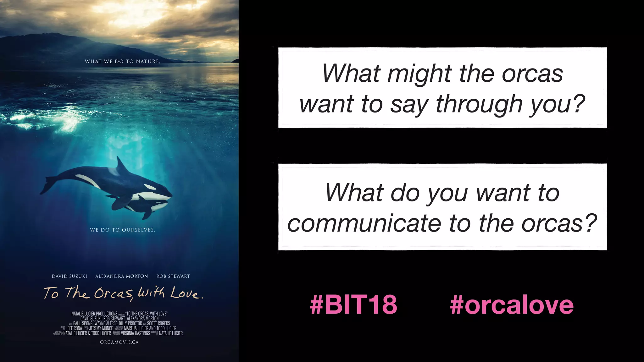 ORCAMOVIE.CA
DAVID SUZUKI ALEXANDRA MORTON ROB STEWART
DIRECTED
BY
EXECUTIVE
PRODUCERS
MUSIC
BY
EDITED
BY
WRITTEN &
PRODUCED BY
ASSOCIATE
PRODUCER
NATALIE LUCIER PRODUCTIONS PRESENTS“TO THE ORCAS, WITH LOVE”
DAVID SUZUKI ROB STEWART ALEXANDRA MORTON
WITH PAUL SPONG WAYNE ALFRED BILLY PROCTOR AND SCOTT ROGERS
JEFF RONA JEREMY MUNCE MARTHA LUCIER AND TODD LUCIER
NATALIE LUCIER & TODD LUCIER VIRGINIA HASTINGS NATALIE LUCIER
What might the orcas
want to say through you?
What do you want to
communicate to the orcas?
#BIT18 #orcalove
 