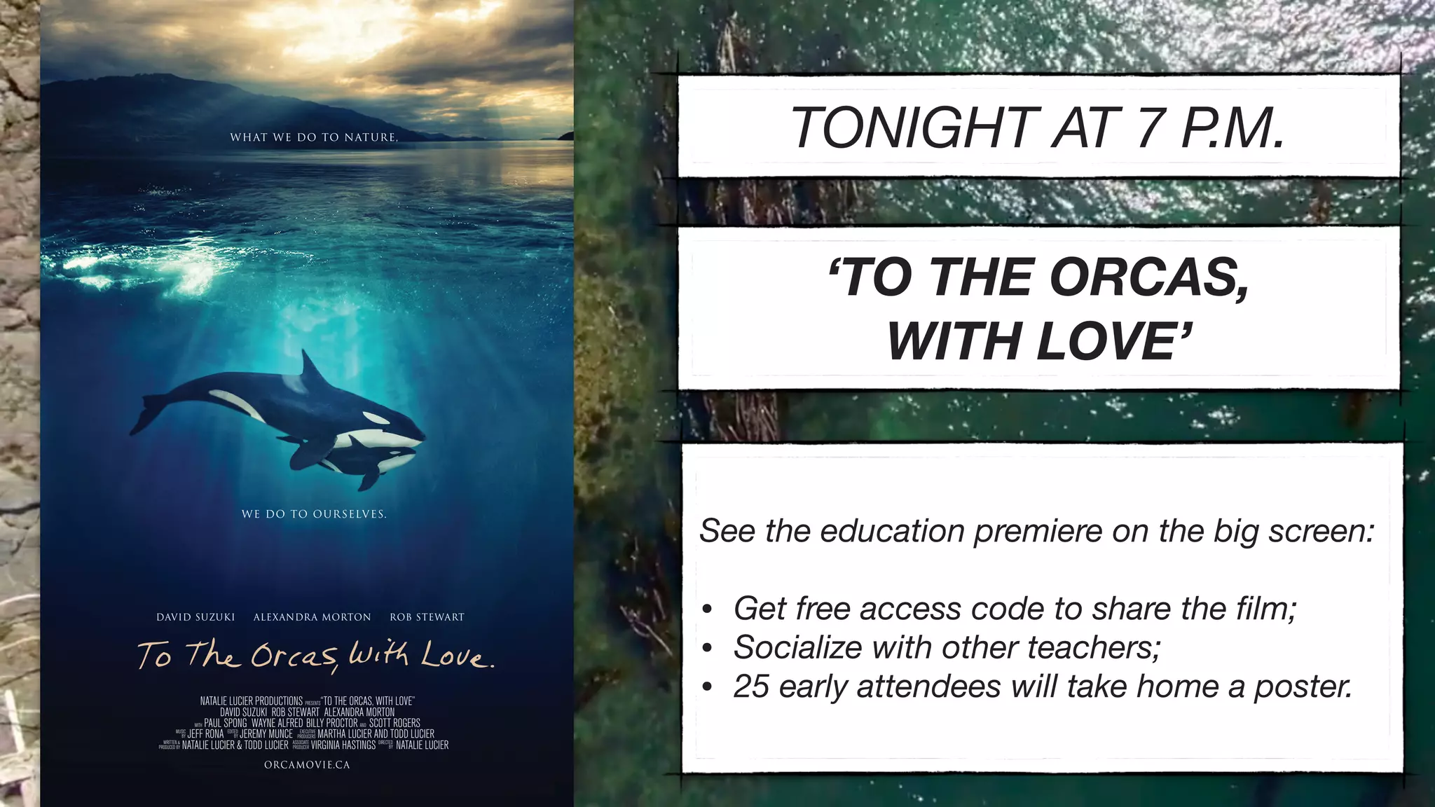 ORCAMOVIE.CA
DAVID SUZUKI ALEXANDRA MORTON ROB STEWART
DIRECTED
BY
EXECUTIVE
PRODUCERS
MUSIC
BY
EDITED
BY
WRITTEN &
PRODUCED BY
ASSOCIATE
PRODUCER
NATALIE LUCIER PRODUCTIONS PRESENTS“TO THE ORCAS, WITH LOVE”
DAVID SUZUKI ROB STEWART ALEXANDRA MORTON
WITH PAUL SPONG WAYNE ALFRED BILLY PROCTOR AND SCOTT ROGERS
JEFF RONA JEREMY MUNCE MARTHA LUCIER AND TODD LUCIER
NATALIE LUCIER & TODD LUCIER VIRGINIA HASTINGS NATALIE LUCIER
TONIGHT AT 7 P.M.
See the education premiere on the big screen:  
• Get free access code to share the ﬁlm;
• Socialize with other teachers;
• 25 early attendees will take home a poster.
‘TO THE ORCAS,  
WITH LOVE’
 