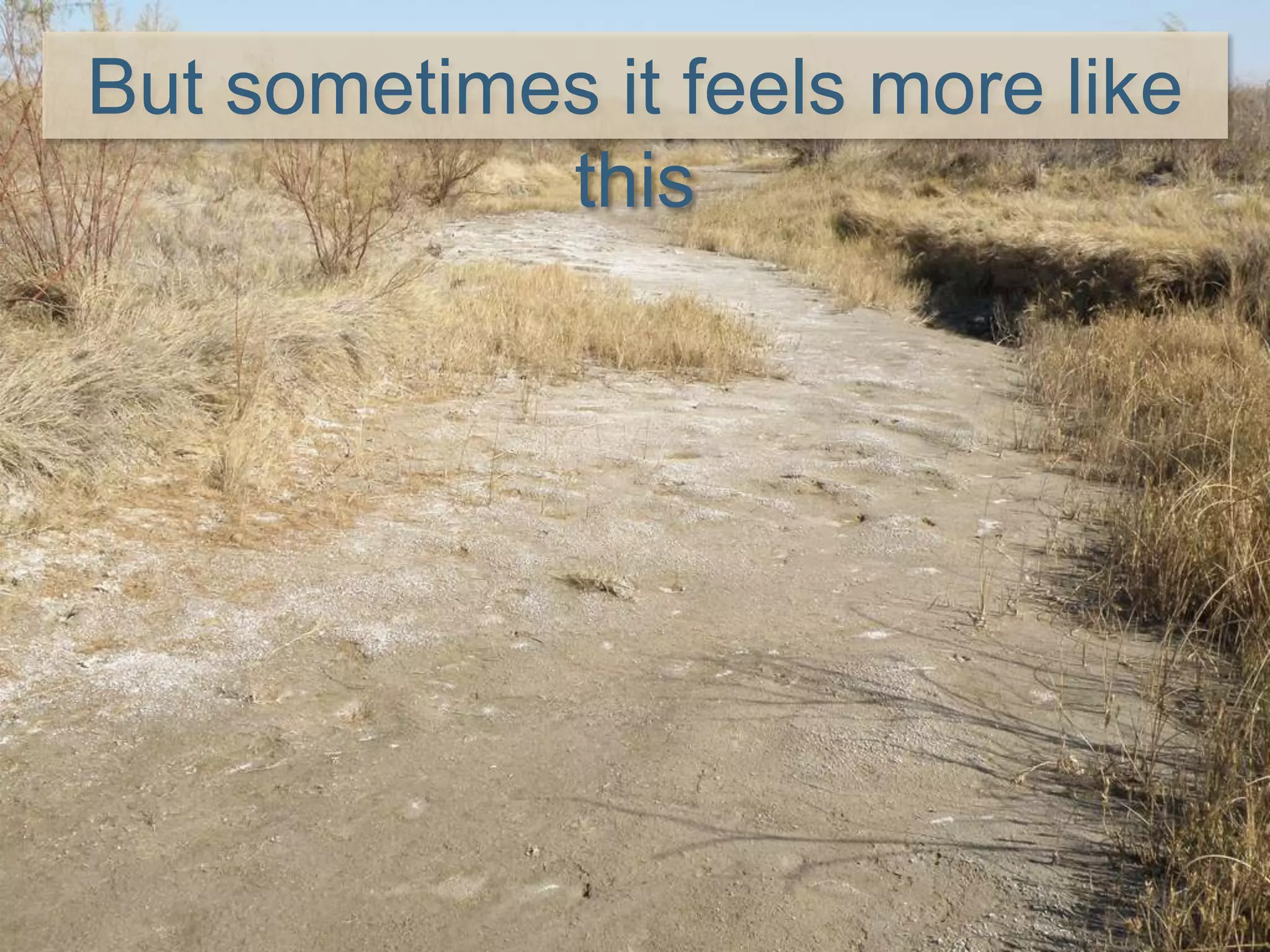 But sometimes it feels more like
this
 