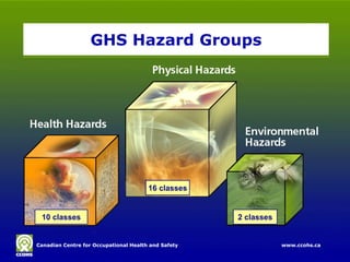 GHS Hazard Groups




                                       16 classes


 10 classes                                          2 classes


Canadian Centre for Occupational Health and Safety
Canadian Centre for Occupational Health and Safety               www.ccohs.ca
                                                                 www.ccohs.ca
 
