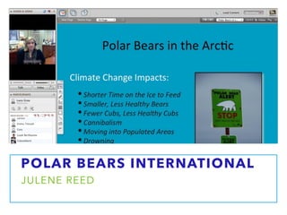 POLAR BEARS INTERNATIONAL
JULENE REED
 