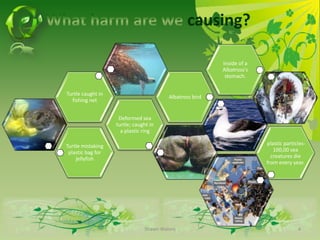 What harm are we causing?Shawn Waters4
