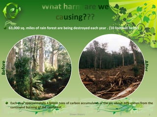 What harm arewecausing???63,000 sq. miles of rain forest are being destroyed each year . (10 football fields)After Each year approximately 4 billion tons of carbon accumulates in the air, about 30% comes from the continued burning of the rainforest.Shawn Waters5