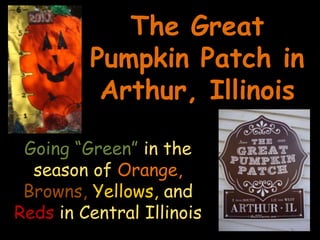 The Great Pumpkin Patch in Arthur, IllinoisGoing “Green” in the season of Orange, Browns, Yellows, and Reds in Central Illinois