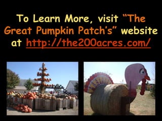 To Learn More, visit “The Great Pumpkin Patch’s” websiteathttp://the200acres.com/
