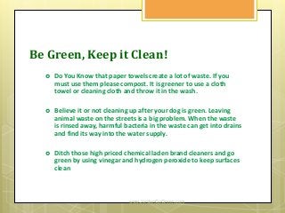 Be Green, Keep it Clean!
www.JordanGoGreen.com
 Do You Know that paper towels create a lot of waste. If you
must use them please compost. It is greener to use a cloth
towel or cleaning cloth and throw it in the wash.
 Believe it or not cleaning up after your dog is green. Leaving
animal waste on the streets is a big problem. When the waste
is rinsed away, harmful bacteria in the waste can get into drains
and find its way into the water supply.
 Ditch those high priced chemical laden brand cleaners and go
green by using vinegar and hydrogen peroxide to keep surfaces
clean
 