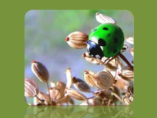 Going green picture