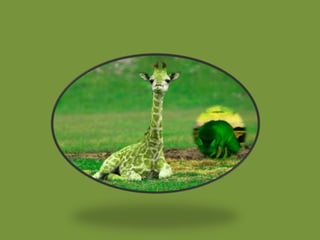 Going green picture