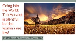 3rd SUNDAY after Pentecost: 18th June 2023
Going into
the World:
The Harvest
is plentiful,
but the
workers are
few!
 