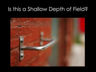 Is this a Shallow Depth of Field?
 