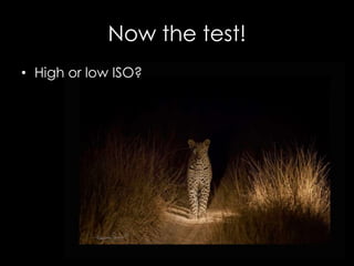 Now the test!
• High or low ISO?
 